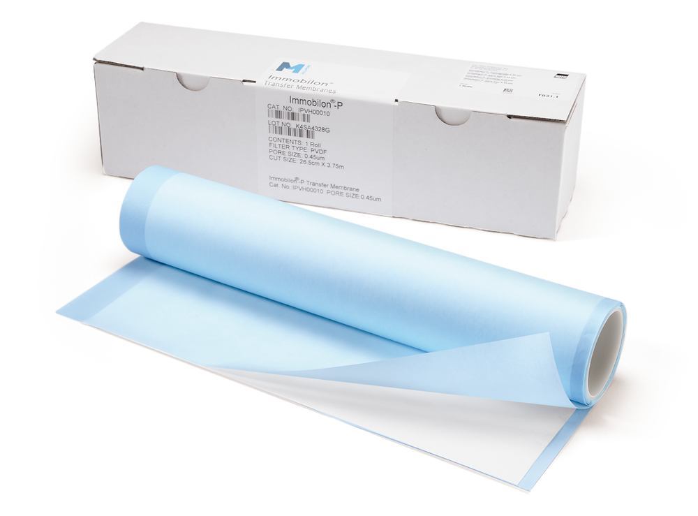 Immobilon -NC Transfer Membrane
